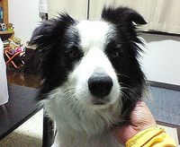 実はそれは、かけがえのない宝物かもしれない。 2008/05/27 12:30:00