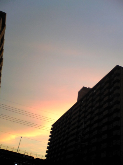 きれいな夕日