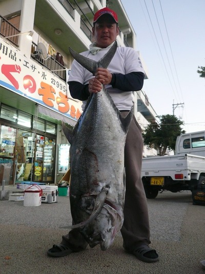 南遊海・・新里さん浪人鯵19.55㎏・慶良間・白岩