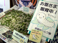 伊那谷道中