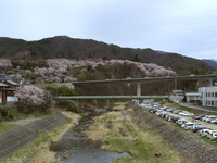 天女橋とその周辺