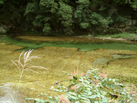湯谷園地