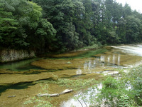 湯谷園地