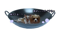2008年07月30日