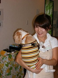 甘えん坊バンビ