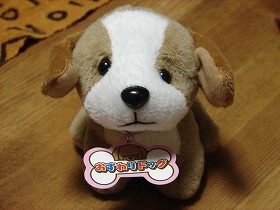poor dog toy