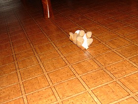 poor dog toy