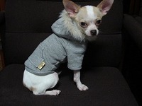 NANA★PARUさんの犬服