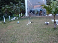 犬走る茶屋