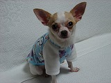 NANA★PARU服