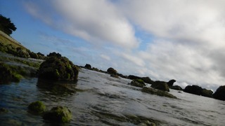海の岩場(著作権あり)