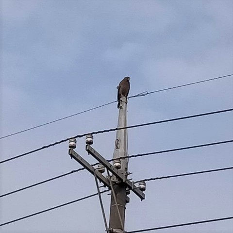 3月になりましたね~ 3月になりましたね~