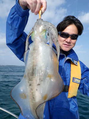 エギング釣果情報!