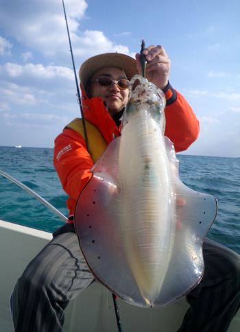 今日はモンスターアオリ3,6キロ!出ました!!