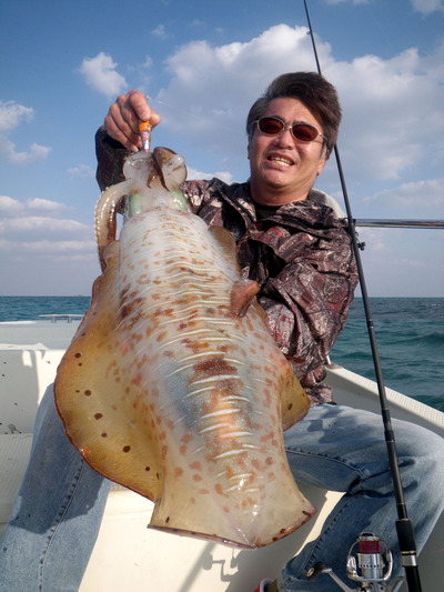 今日はモンスターアオリ3,6キロ!出ました!!