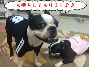 看板設置! 看板設置!