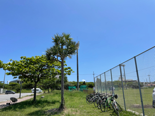日曜日 日曜日