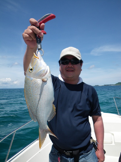 最近の釣果です