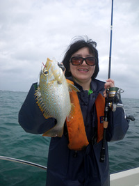 お魚釣果ダイジェスト!