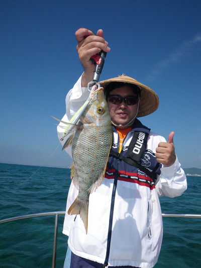 最近の釣果ダイジェストです