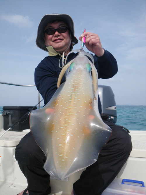 2キロオーバー出てます!海風釣果ダイジェスト