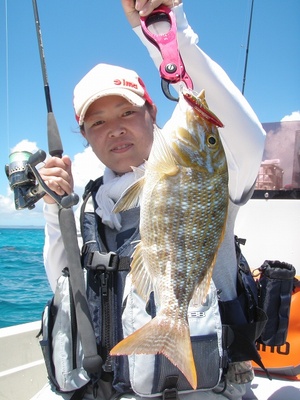 最近の釣果情報です。