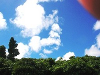 犬雲