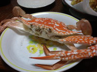 またかに・・・？ 2007/10/22 16:27:20