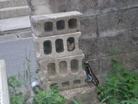 猫のお家。 2007/10/23 01:00:00