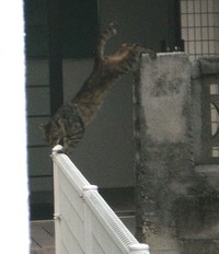 シマーの特訓！ 2007/06/13 13:00:00