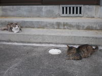 守ってます。 2007/06/17 09:00:00