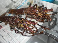 後悔・・・ 2007/08/07 00:32:41