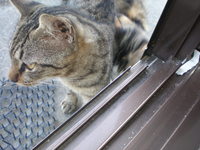 写ってる？ 2007/09/15 16:32:17