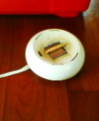 蚊の襲撃！！ 2007/05/07 11:51:00