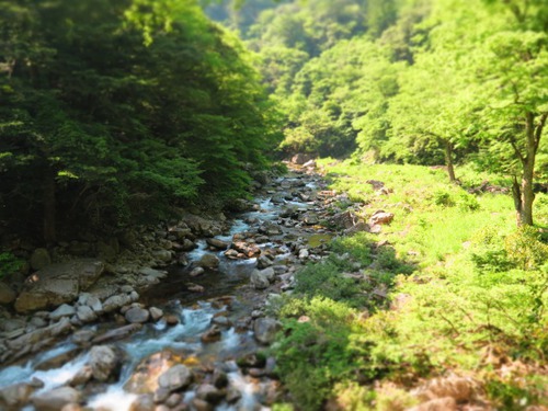 広島人の地元観光「三段峡編」 広島人の地元観光「三段峡編」