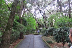釜山でケーブルカーに乗る 釜山でケーブルカーに乗る