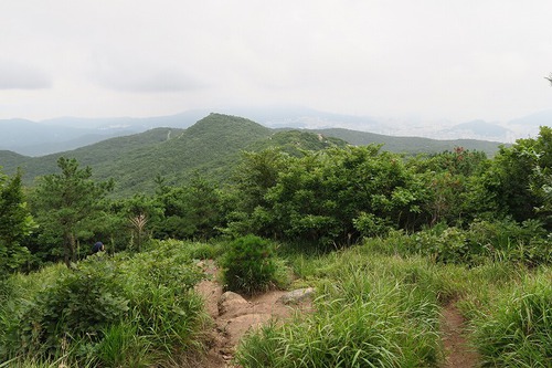 またしても山登り またしても山登り