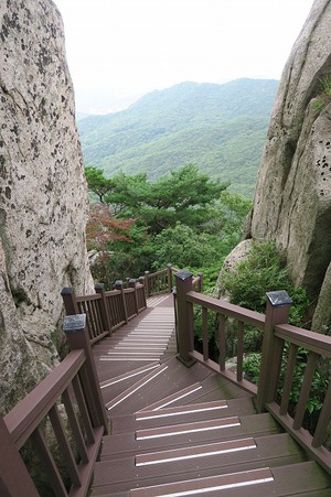 またしても山登り またしても山登り