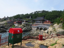 釜山最終日は海のお寺へ 釜山最終日は海のお寺へ