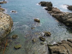 釜山最終日は海のお寺へ 釜山最終日は海のお寺へ