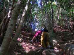 三倉岳で登山しちゃったい 三倉岳で登山しちゃったい