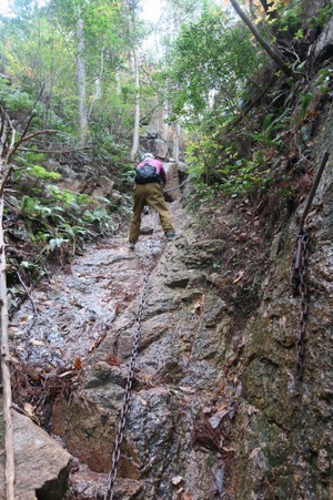 三倉岳で登山しちゃったい 三倉岳で登山しちゃったい