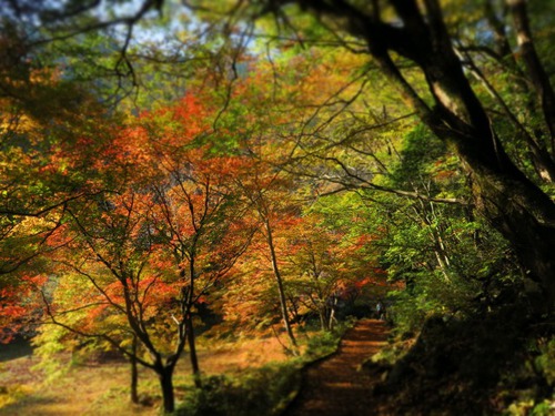 秋の三段峡へ 秋の三段峡へ