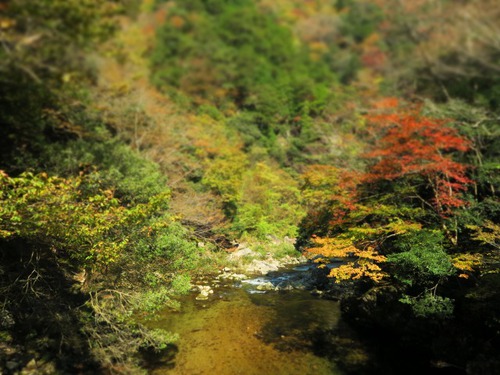 秋の三段峡へ 秋の三段峡へ