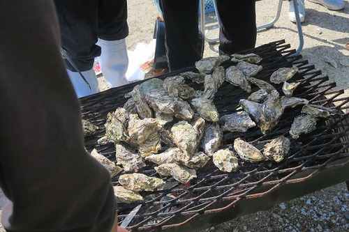 カキ食べ放題!江田島 かきカキマラソン! カキ食べ放題!江田島 かきカキマラソン!