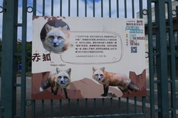 上海動物園&中国版新幹線レポート 上海動物園&中国版新幹線レポート