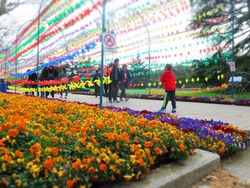 上海動物園&中国版新幹線レポート 上海動物園&中国版新幹線レポート