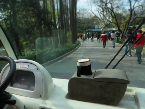 上海動物園&中国版新幹線レポート 上海動物園&中国版新幹線レポート