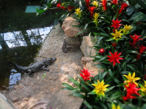 上海動物園&中国版新幹線レポート 上海動物園&中国版新幹線レポート