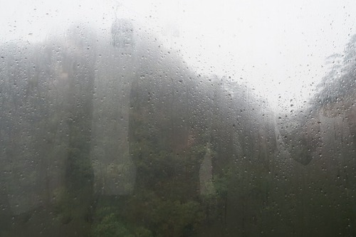 はい、黄山やっぱり雨でした はい、黄山やっぱり雨でした